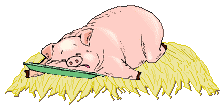 01-pigsnore.gif (34364 bytes)