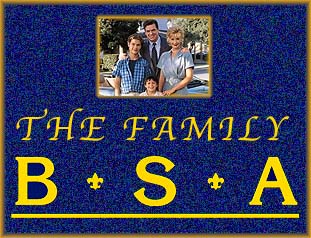 BSA Family icon