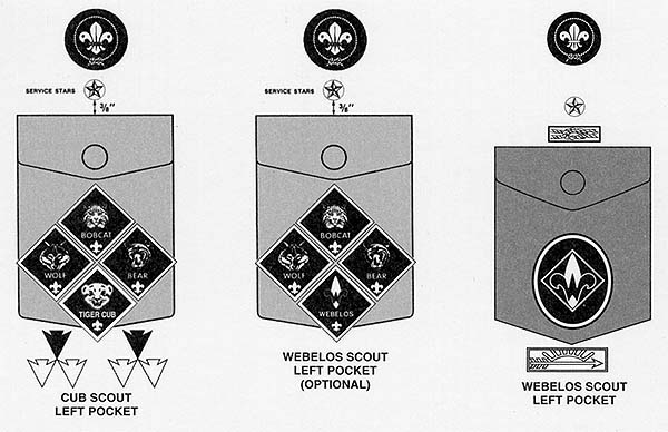 guide scouts cub program