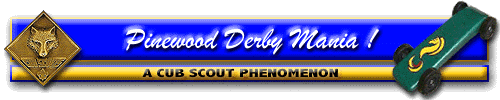 Pinewood Derby Mania - A Cub Scout Phenomenon