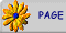 icq pager shuilong@2859602