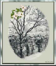 Photo taken in my garden when I was a child