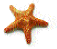 star.gif