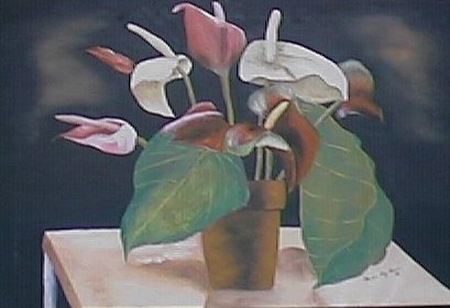 FLORES