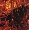Bondage Fruit II (1996)