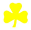 yellow trefoil