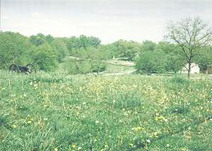 Culp's Hill