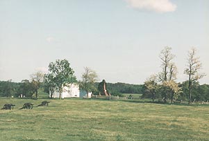Henry House