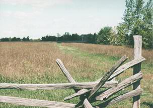 Brawner Farm