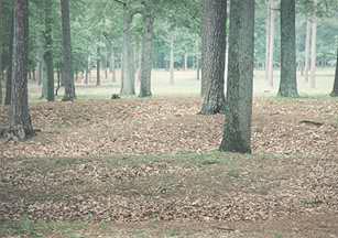 Anderson's men's trenches