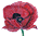 poppy