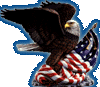 eagle photo