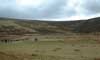The rifle range