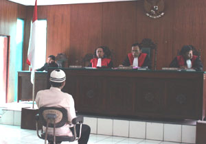 The judges