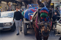 More Color Images of Syria