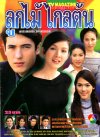 s_25_cover.jpg (7466 bytes)