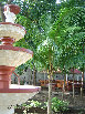 crownandanchor1002029.jpg