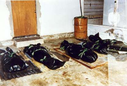 Body bags of unidentified victims