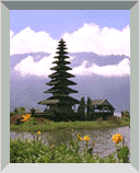 Djenie Tanudjaja's Homepage