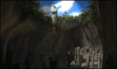 birds in grotto