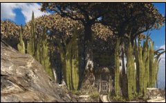 trees