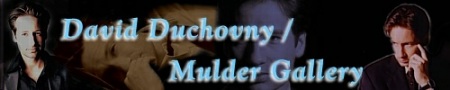 David Duchovny/Mulder
gallery
