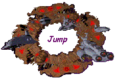 Jump to the next site...