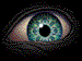 [ TooL Web-site ]