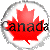maple leaf