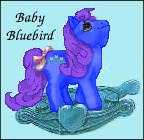 Baby Blue Bird