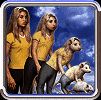Visitor Morph