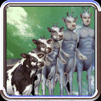 Visitor Morph