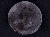 luna nuova