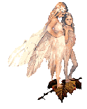 butterfly faeries