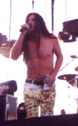 Maynard