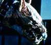 The Chatterbeast