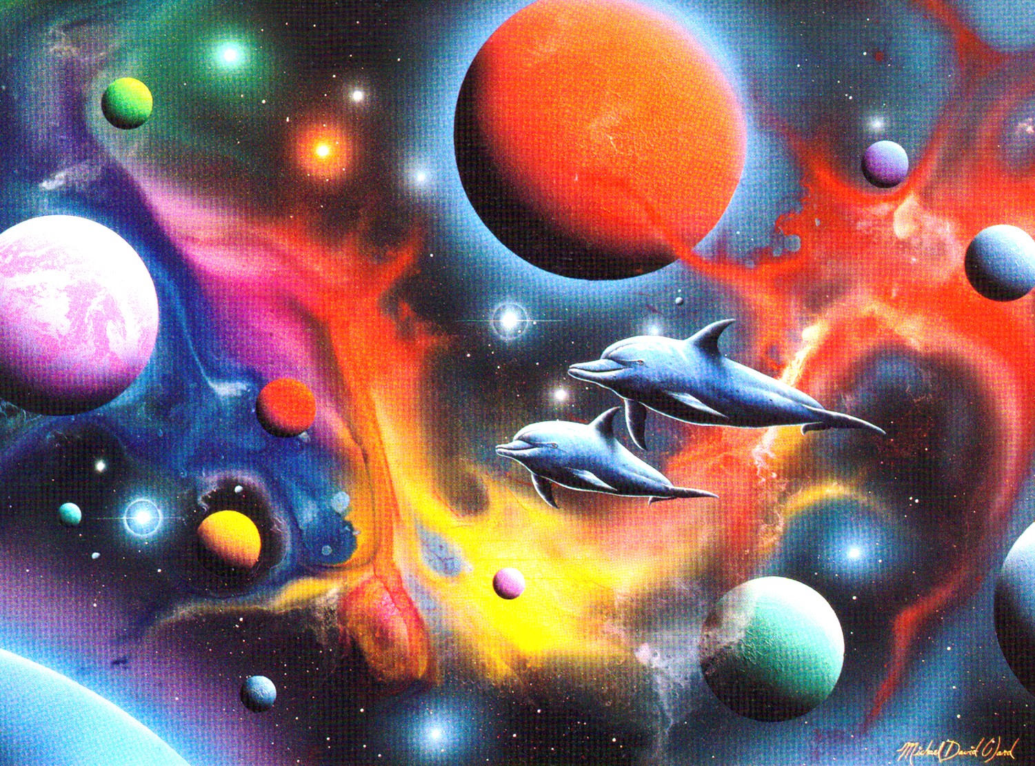 dolphins.jpg