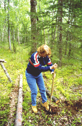 MANY thanks to her, too!