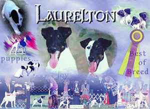 Laurelton