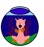 Adopt a Sea Monkey