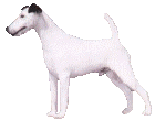 Fox Terrier graphics by Lotte