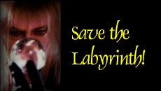 Save Labyrinth
