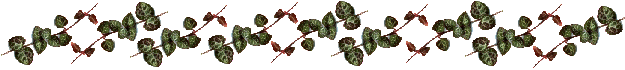Rosary Leaves Bar