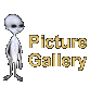 Pictures