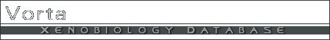 Vorta