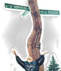 rue de la norv�ge