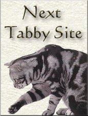 Next 
Tabby Site