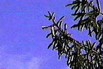 Frame 2
