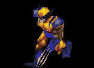 Wolverine on the Move