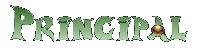 Principal